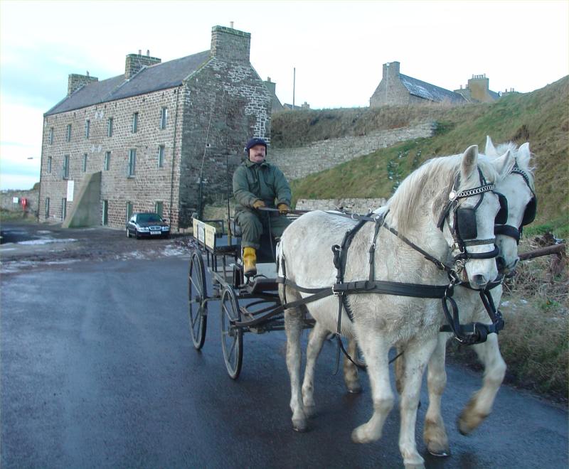 Photo: Around Keiss With Horses and Carriage