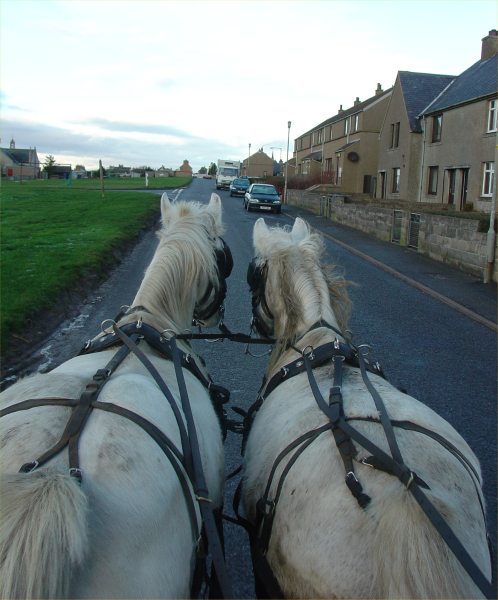 Photo: Around Keiss With Horses and Carriage
