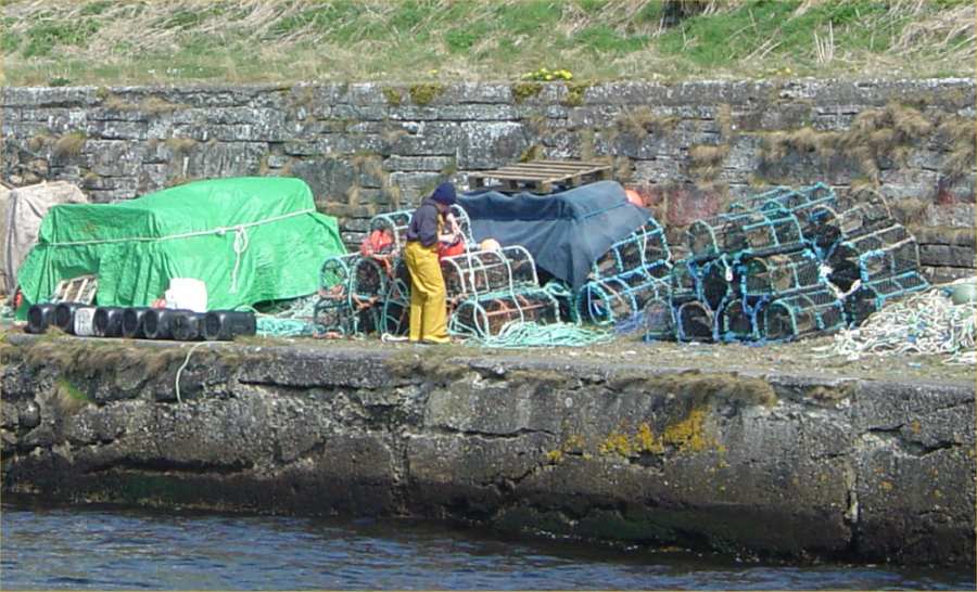 Photo: Lybster Harbour 26 April 2005