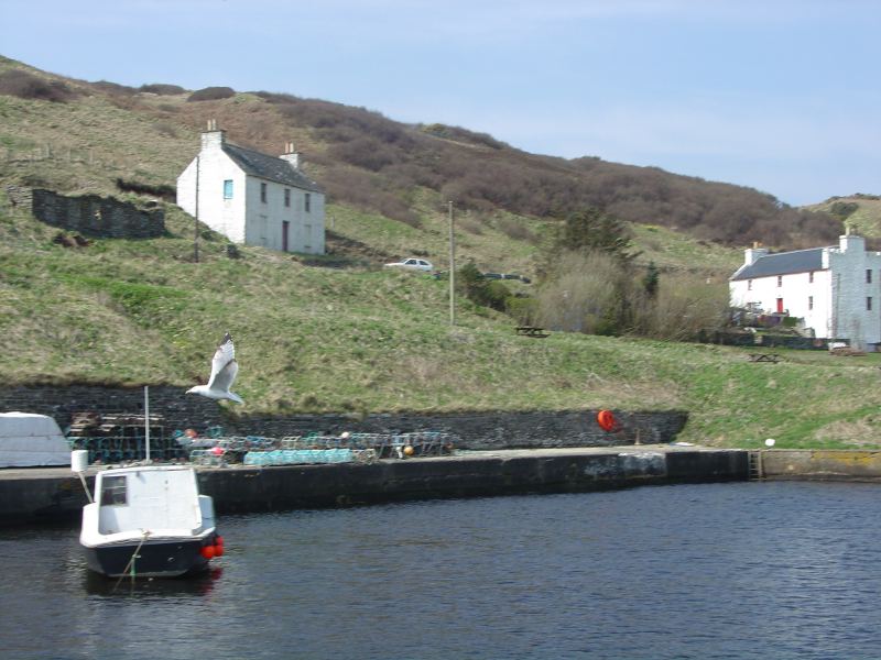 Photo: Lybster Harbour 26 April 2005