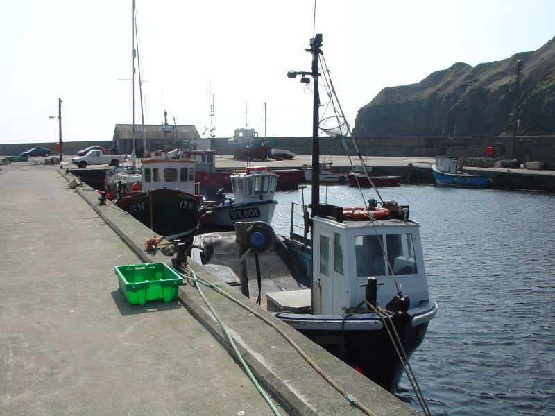 Photo: Lybster Harbour 26 April 2005