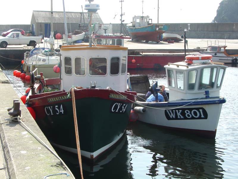 Photo: Lybster Harbour 26 April 2005