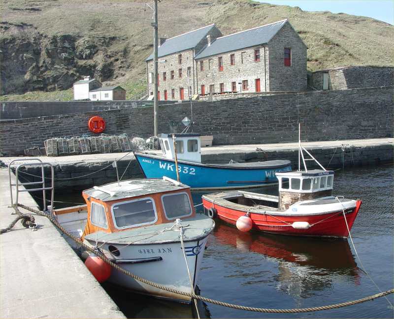 Photo: Lybster Harbour 26 April 2005