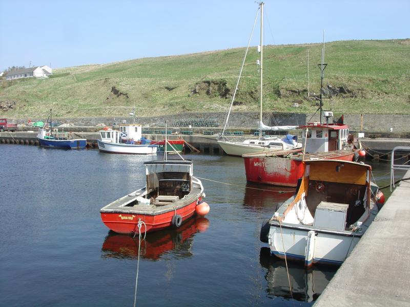 Photo: Lybster Harbour 26 April 2005