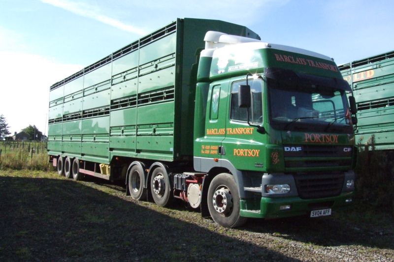 Photo: Thurso Auction Market -  Sale Of 900 Stots 25 September 2006