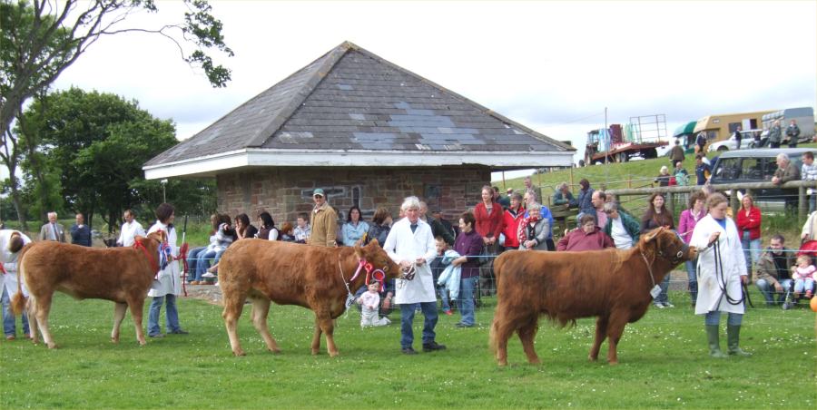 Photo: Caithness County Show 2007