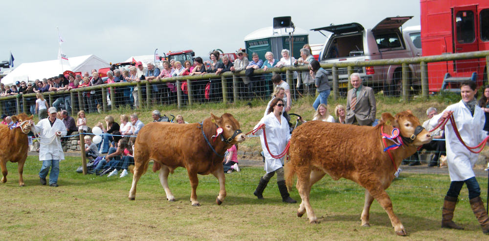 Photo: Caithness County Show 2011