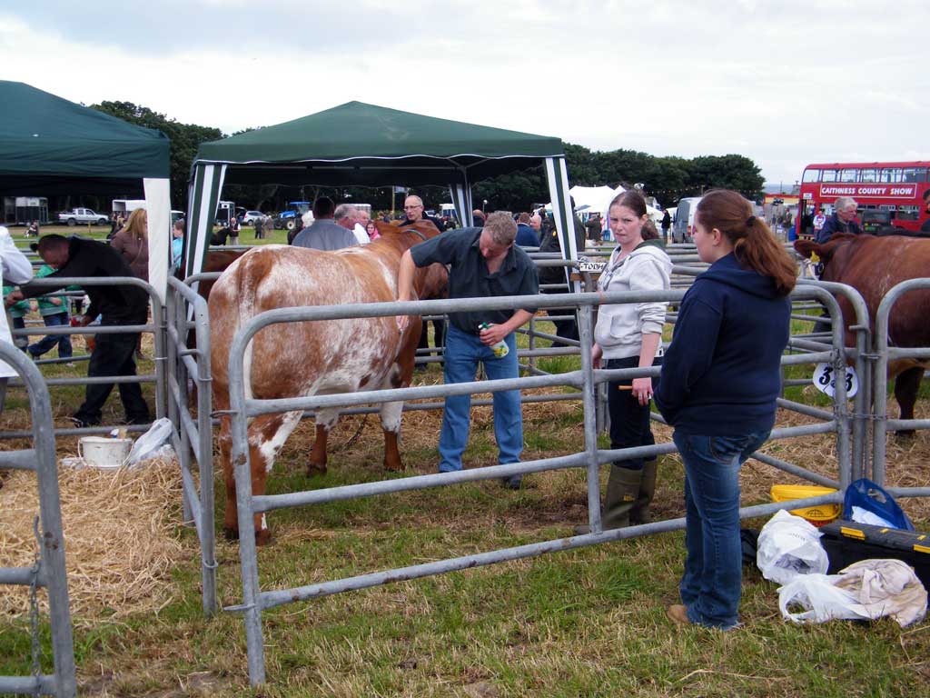 Photo: Caithness County Show 2012