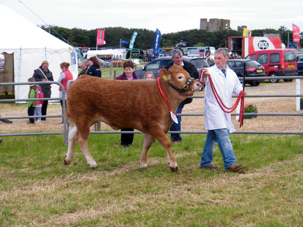 Photo: Caithness County Show 2012