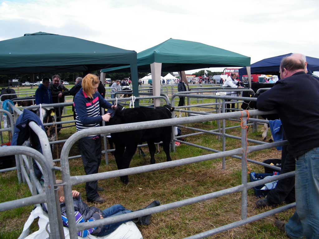 Photo: Caithness County Show 2012