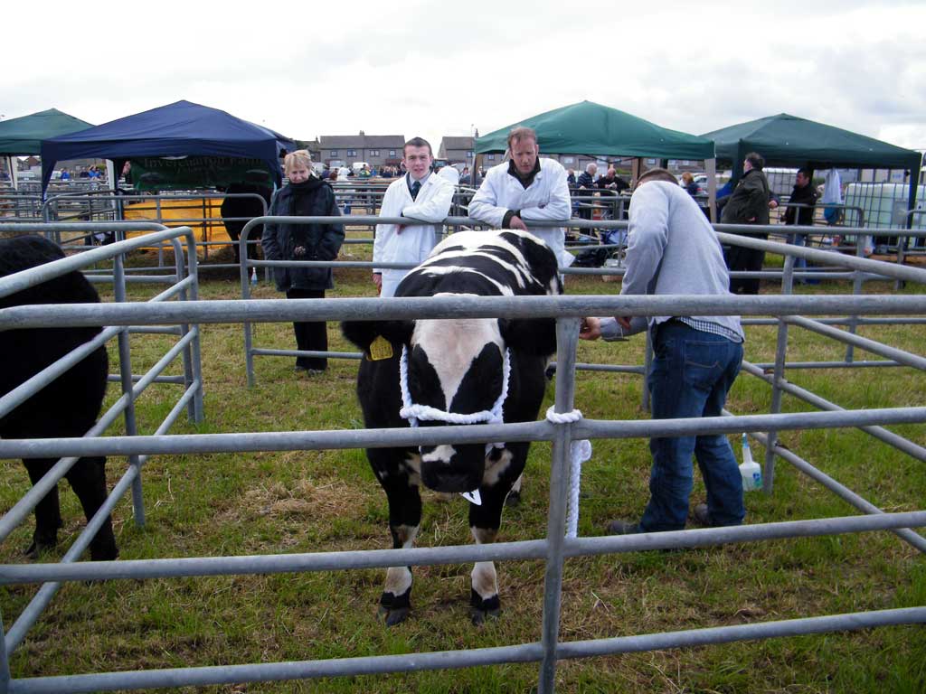 Photo: Caithness County Show 2012