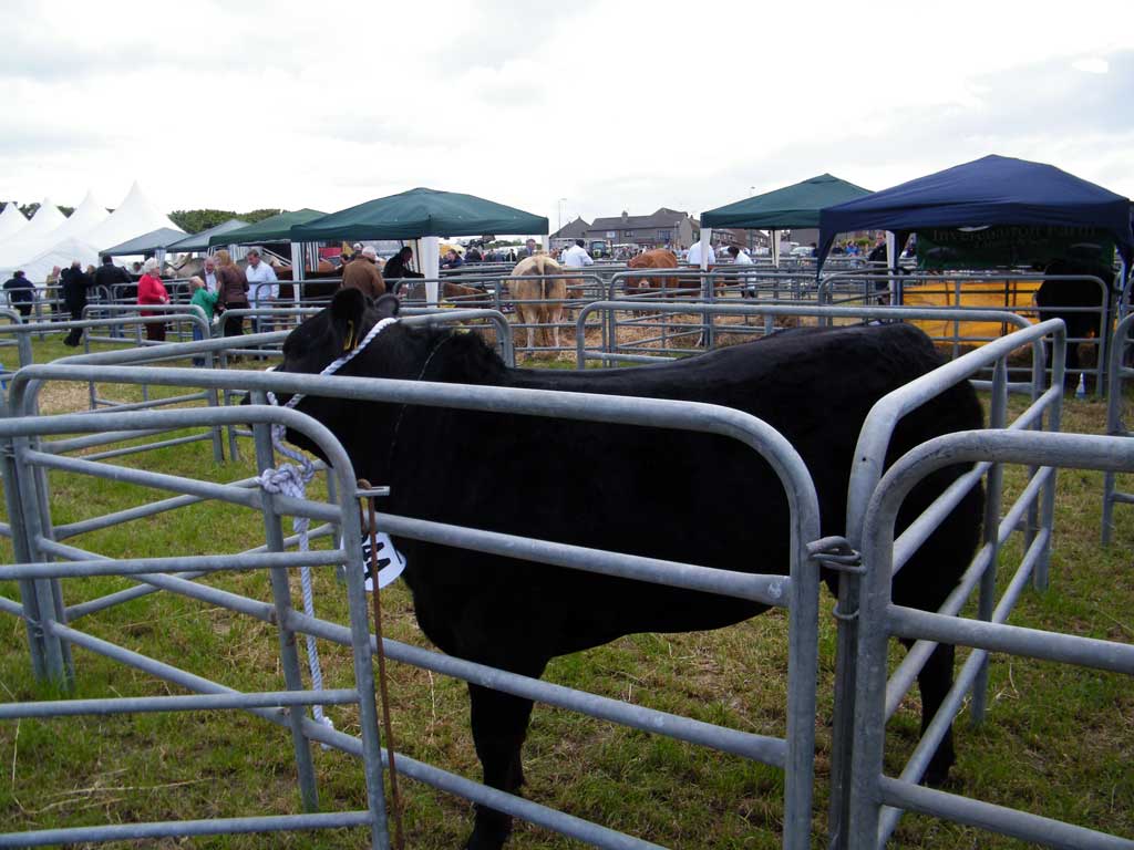 Photo: Caithness County Show 2012