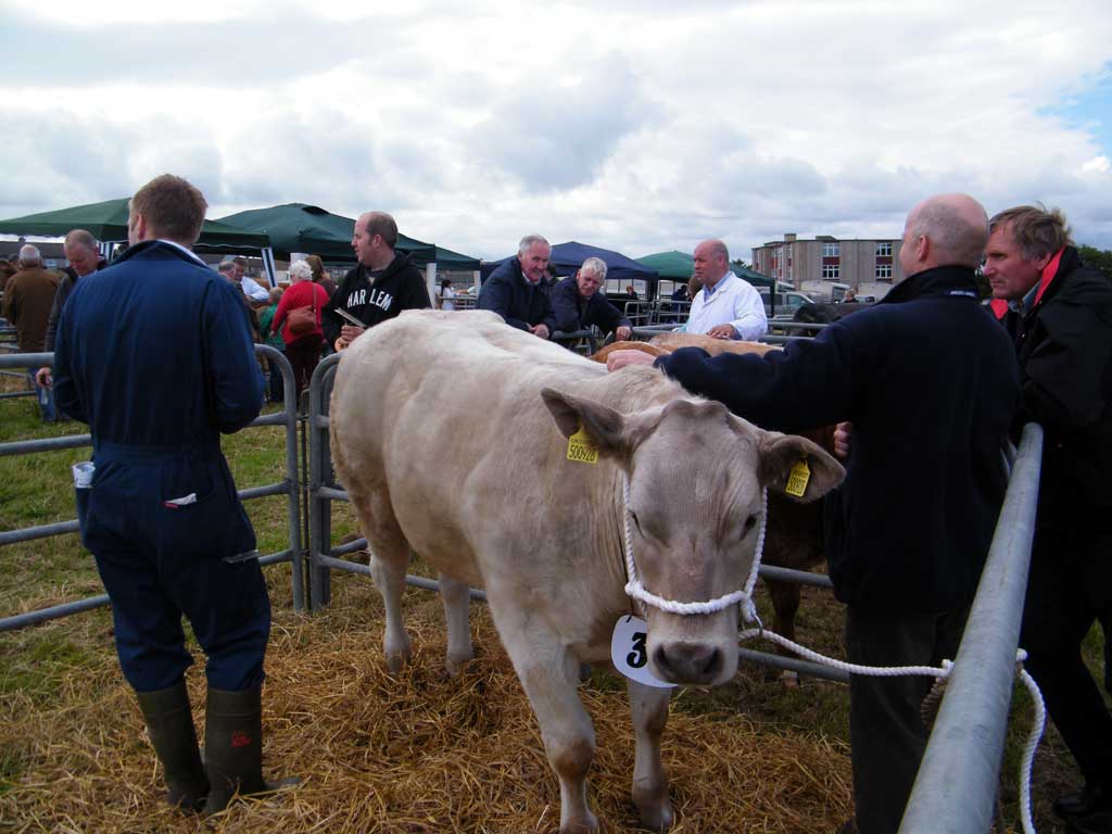 Photo: Caithness County Show 2012