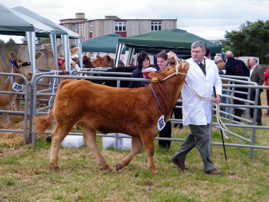 Photo: Caithness County Show 2012