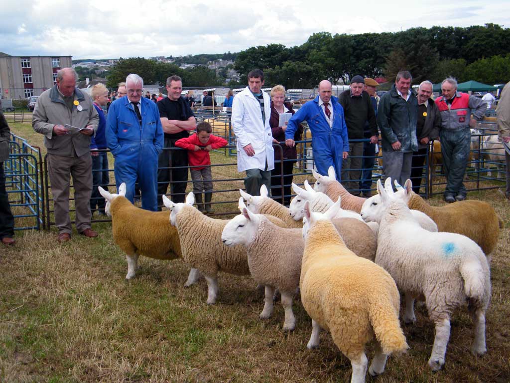 Photo: Caithness County Show 2012