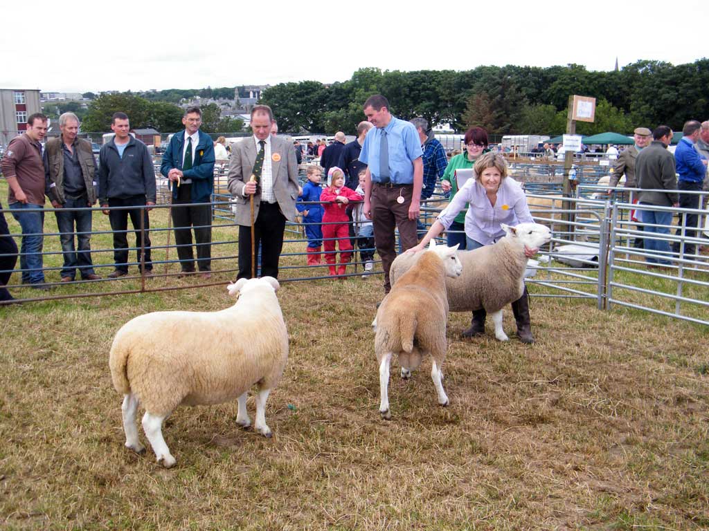 Photo: Caithness County Show 2012