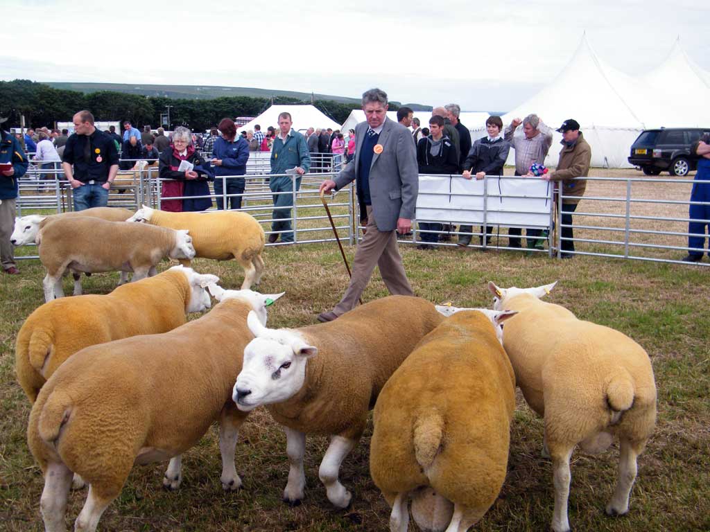 Photo: Caithness County Show 2012