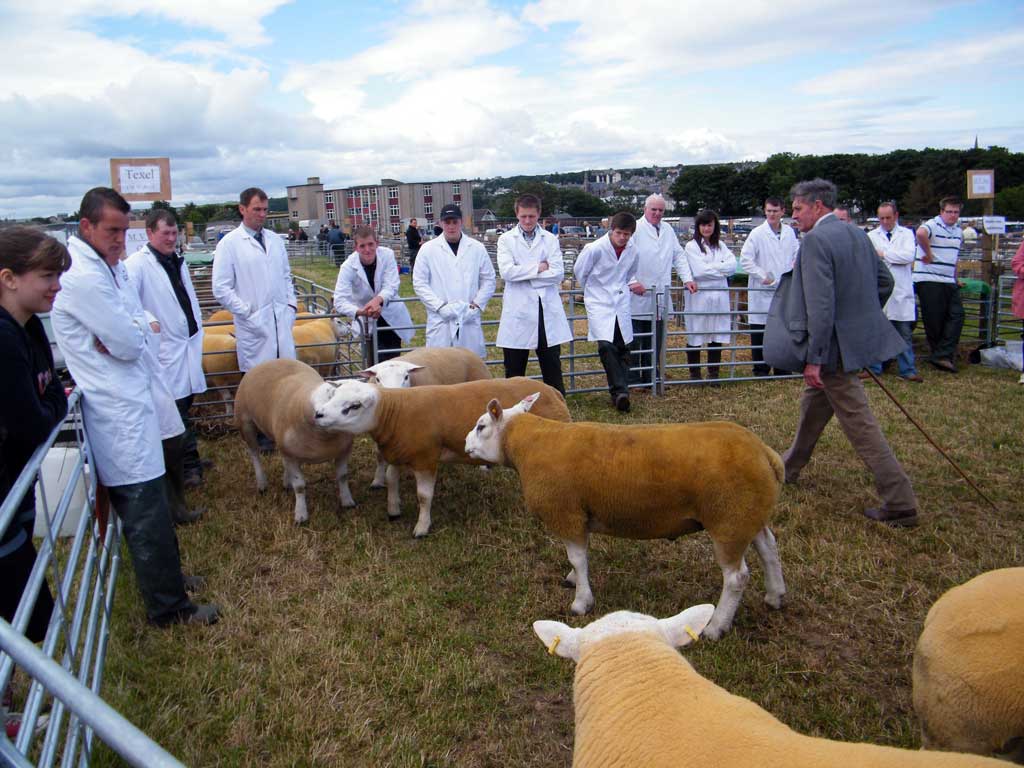 Photo: Caithness County Show 2012