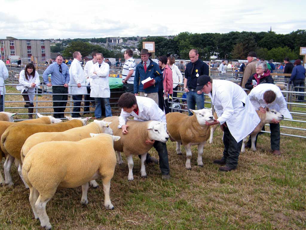 Photo: Caithness County Show 2012