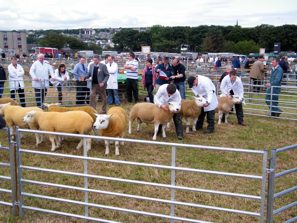 Photo: Caithness County Show 2012