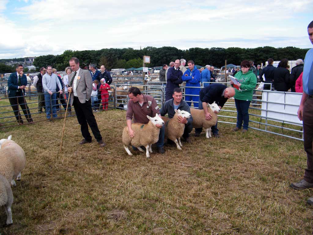 Photo: Caithness County Show 2012