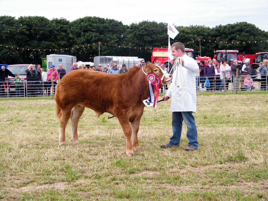 Photo: Caithness County Show 2012