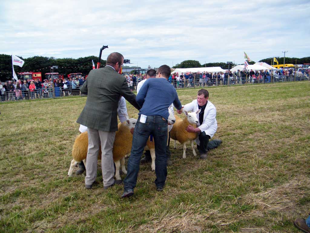 Photo: Caithness County Show 2012