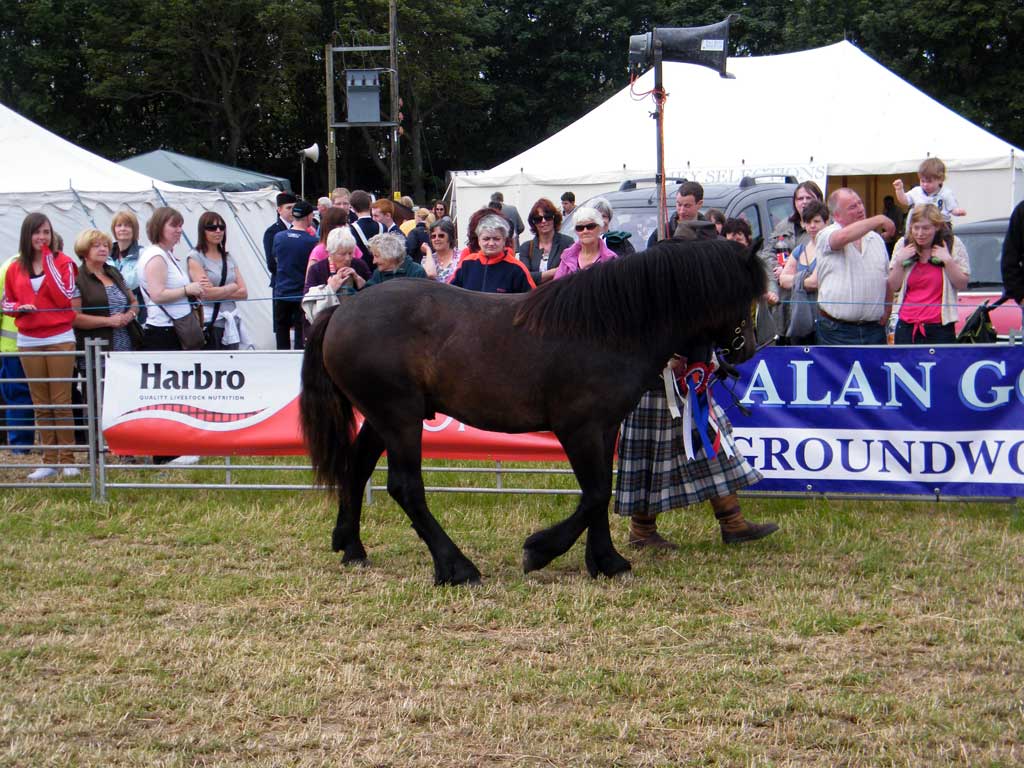 Photo: Caithness County Show 2012