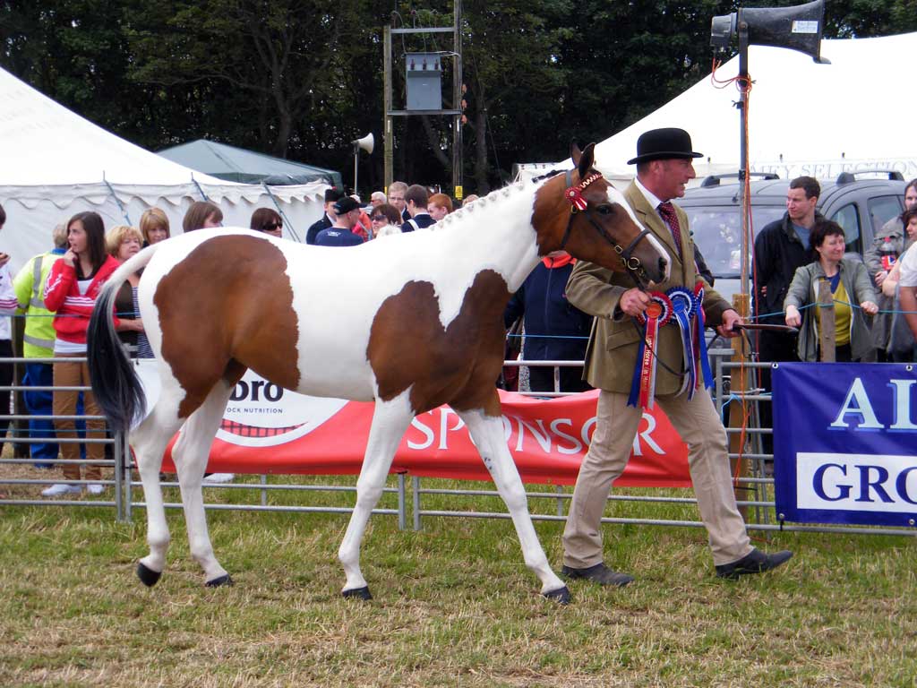 Photo: Caithness County Show 2012