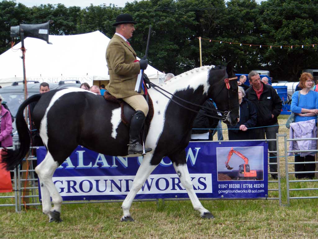 Photo: Caithness County Show 2012