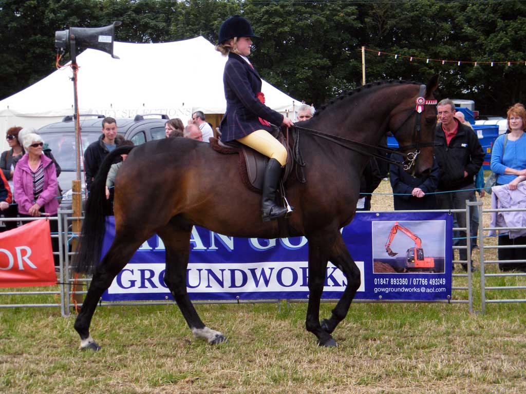 Photo: Caithness County Show 2012