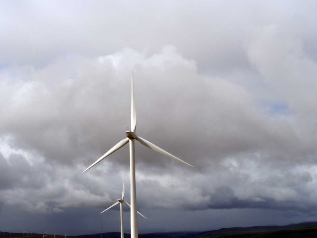 Photo: Open Day For Community At Gordonbush Wind Farm