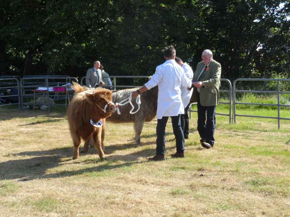 Photo: Caithness County Show 2013 - Saturday