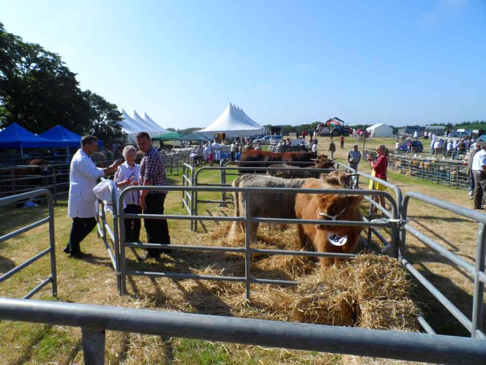 Photo: Caithness County Show 2013 - Saturday