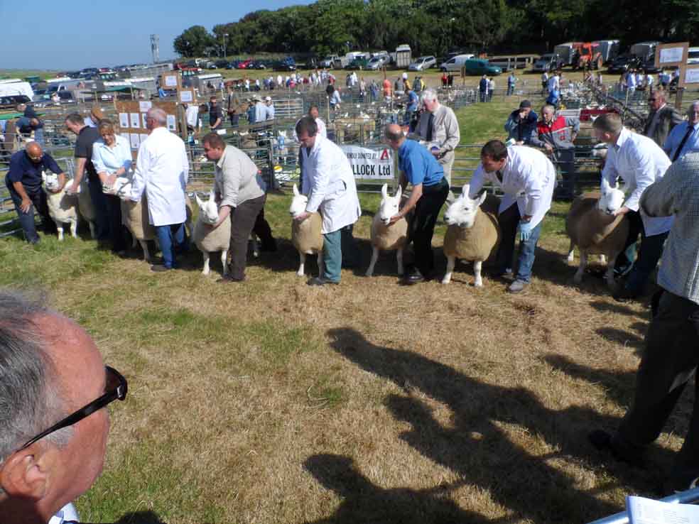 Photo: Caithness County Show 2013 - Saturday