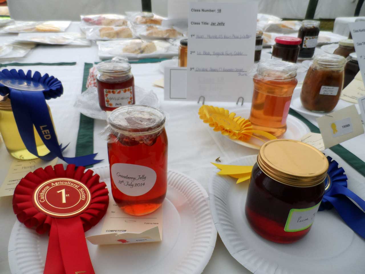 Photo: Caithness County Show 2014 - Friday Evening Preview