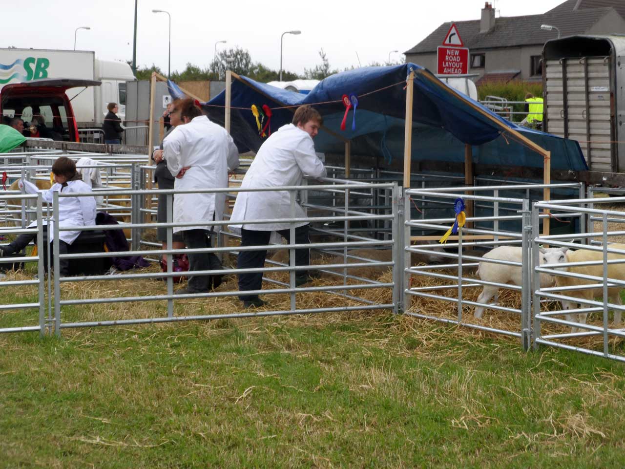 Photo: Caithness County Show 2014 - Saturday