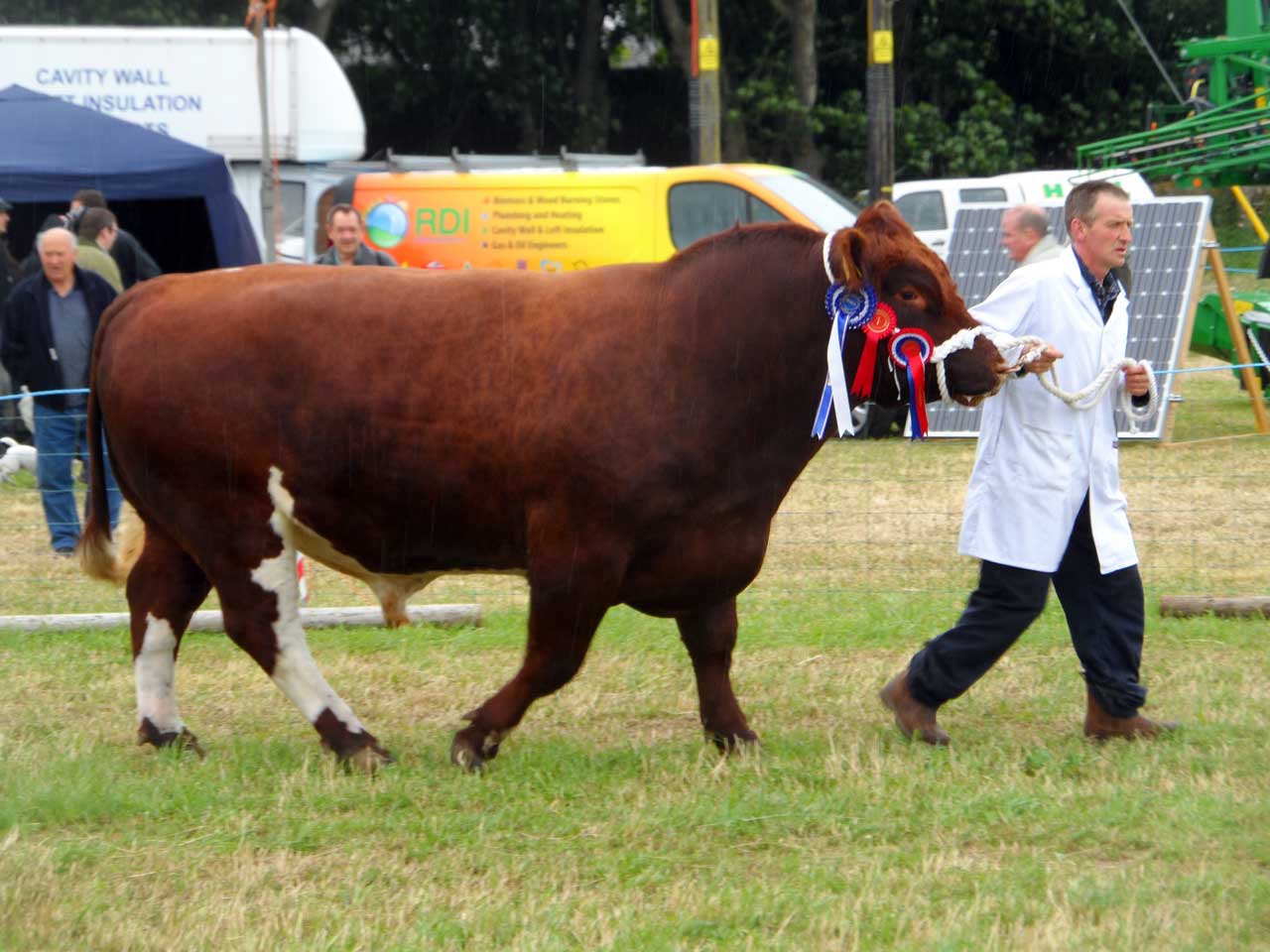 Photo: Caithness County Show 2014 - Saturday