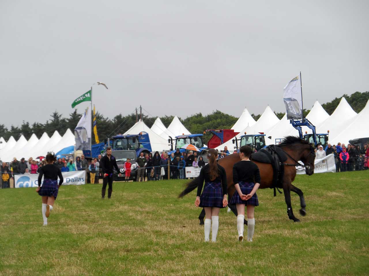 Photo: Caithness County Show 2014 - Saturday