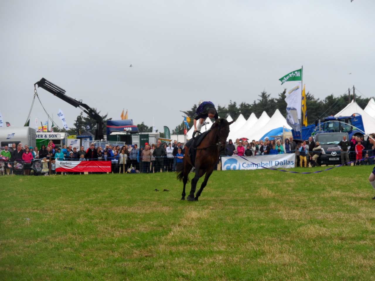 Photo: Caithness County Show 2014 - Saturday