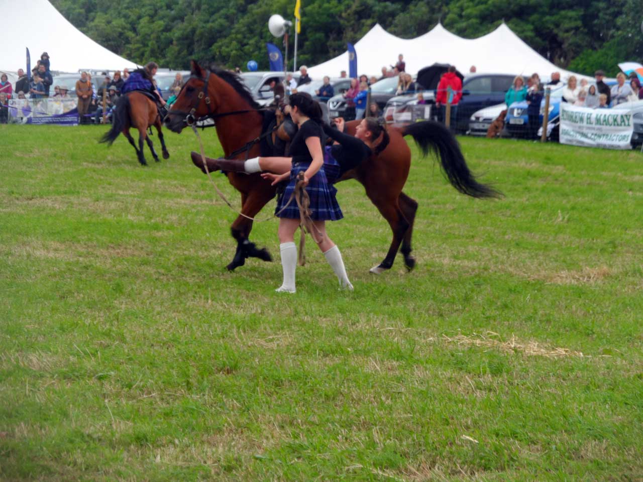 Photo: Caithness County Show 2014 - Saturday