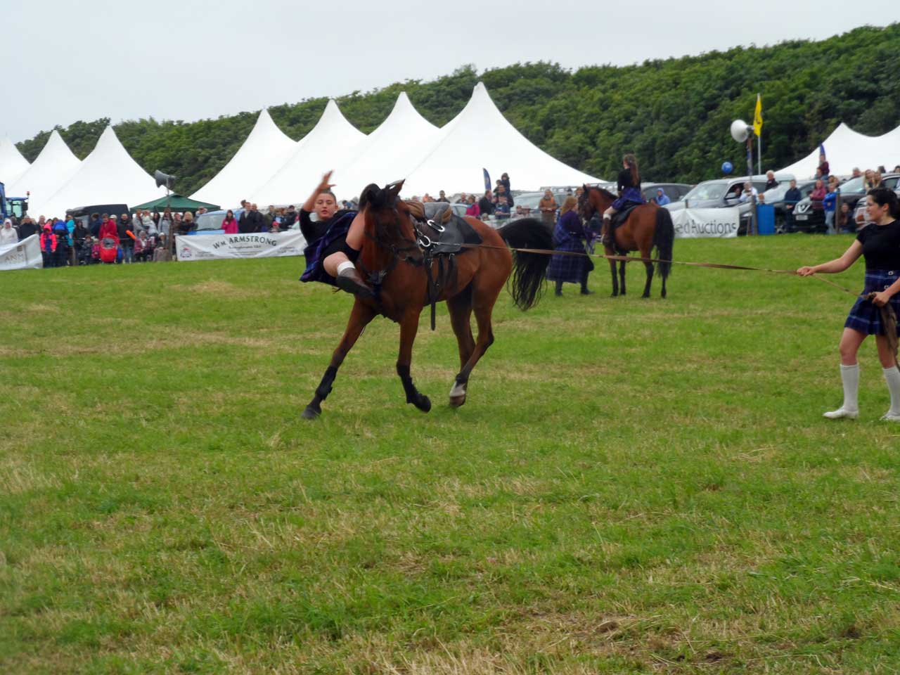 Photo: Caithness County Show 2014 - Saturday