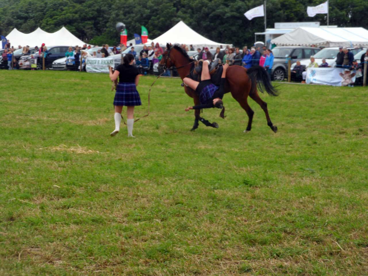 Photo: Caithness County Show 2014 - Saturday