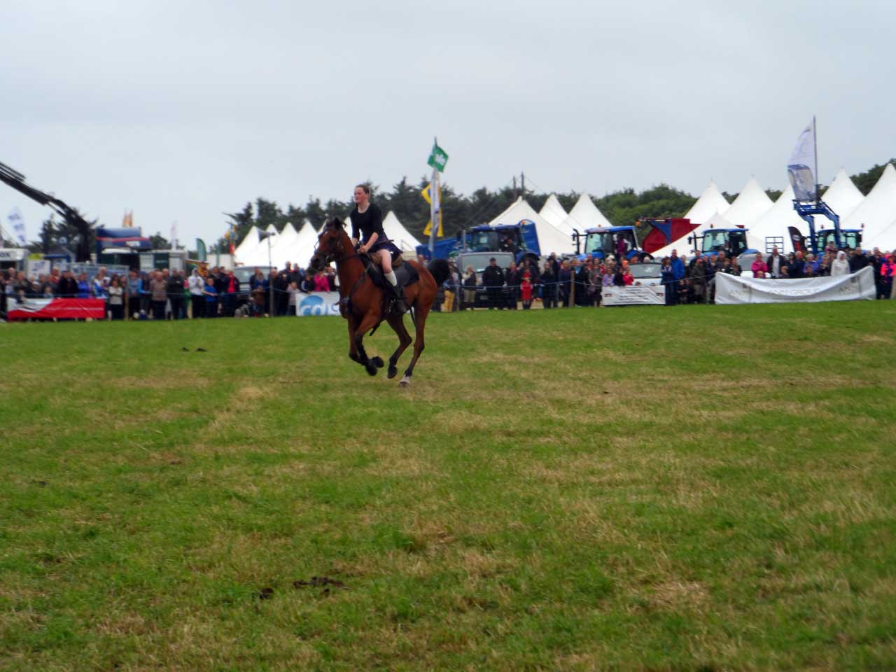 Photo: Caithness County Show 2014 - Saturday