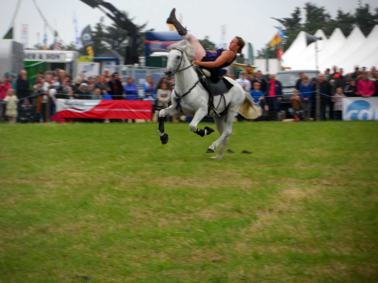 Photo: Caithness County Show 2014 - Saturday