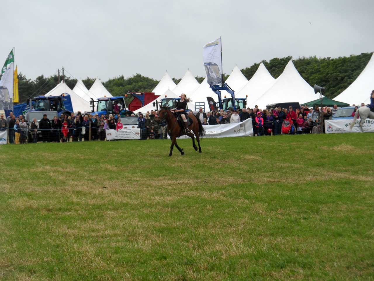 Photo: Caithness County Show 2014 - Saturday