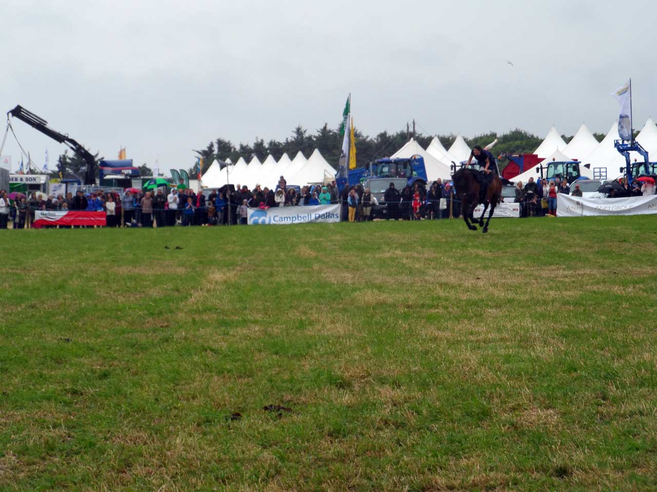 Photo: Caithness County Show 2014 - Saturday