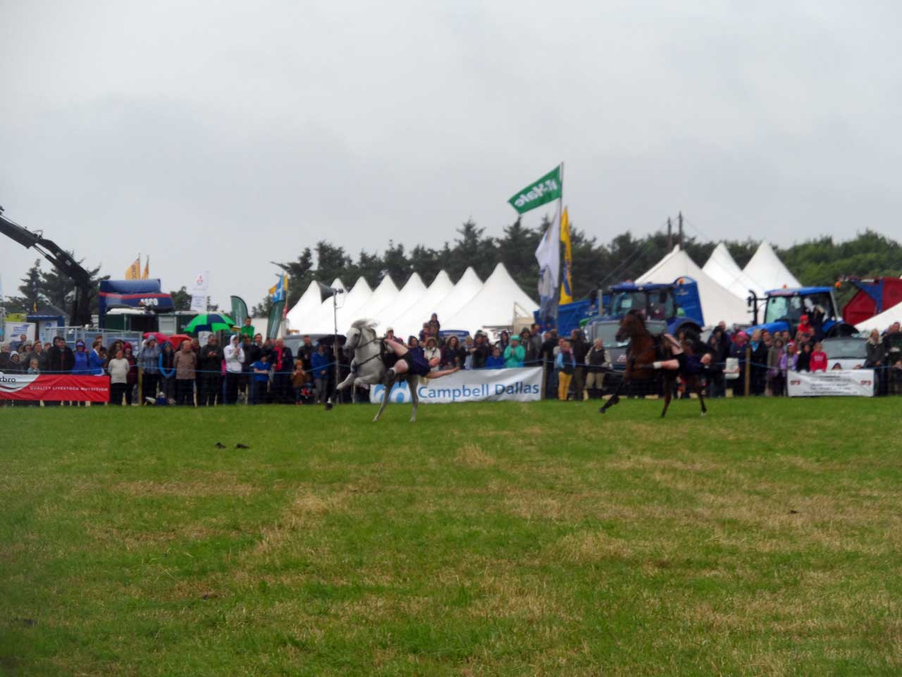 Photo: Caithness County Show 2014 - Saturday