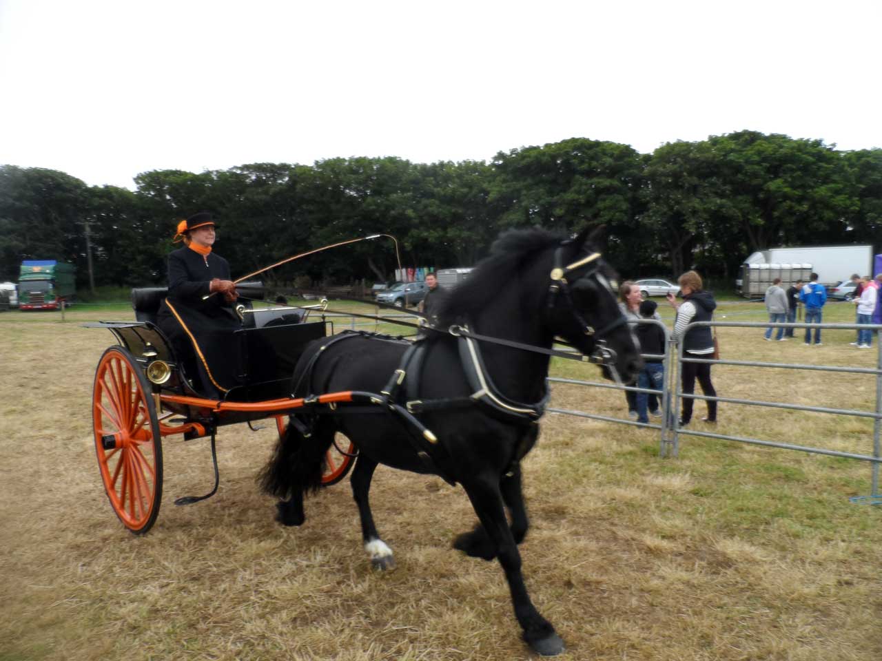 Photo: Caithness County Show 2014 - Saturday