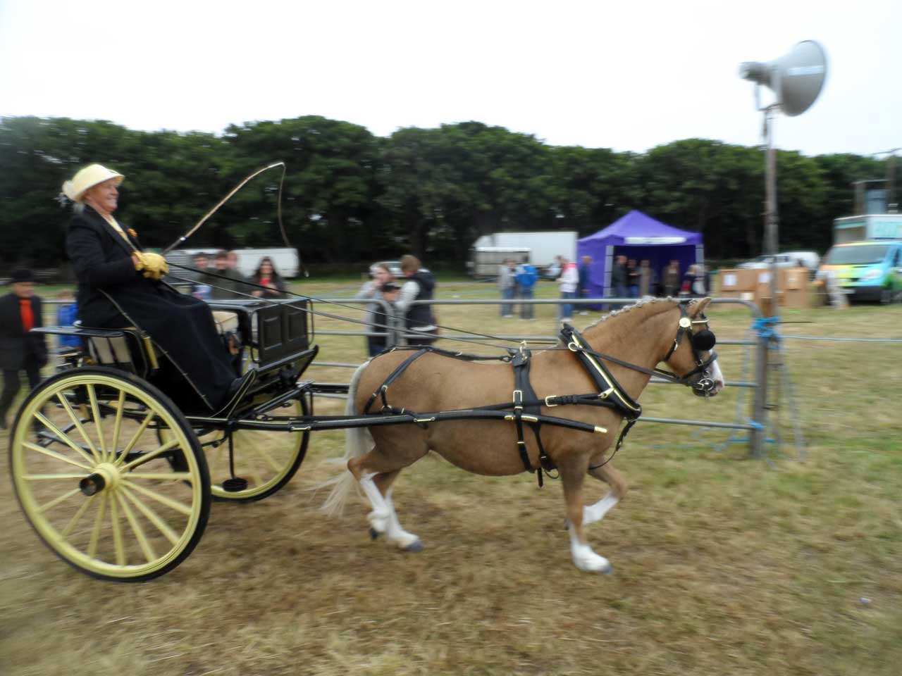 Photo: Caithness County Show 2014 - Saturday